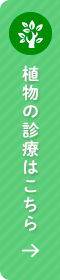 植物の診療はこちら