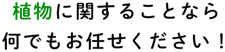 植物に関することなら何でもお任せください！